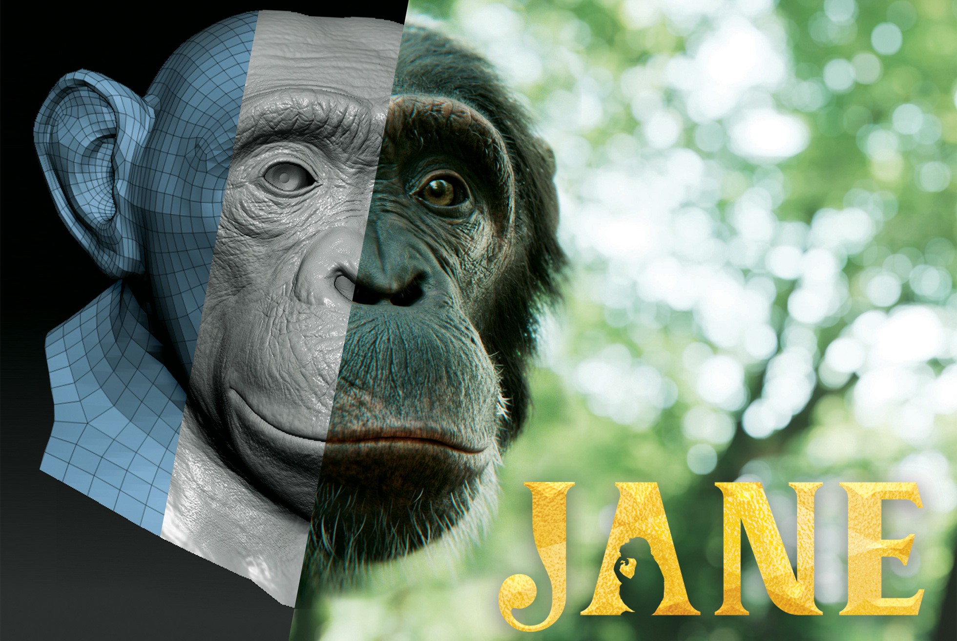 Apple TV+ Adding Jane Goodall Inspired Series ‘Jane’ to its Kid-Friendly Library
