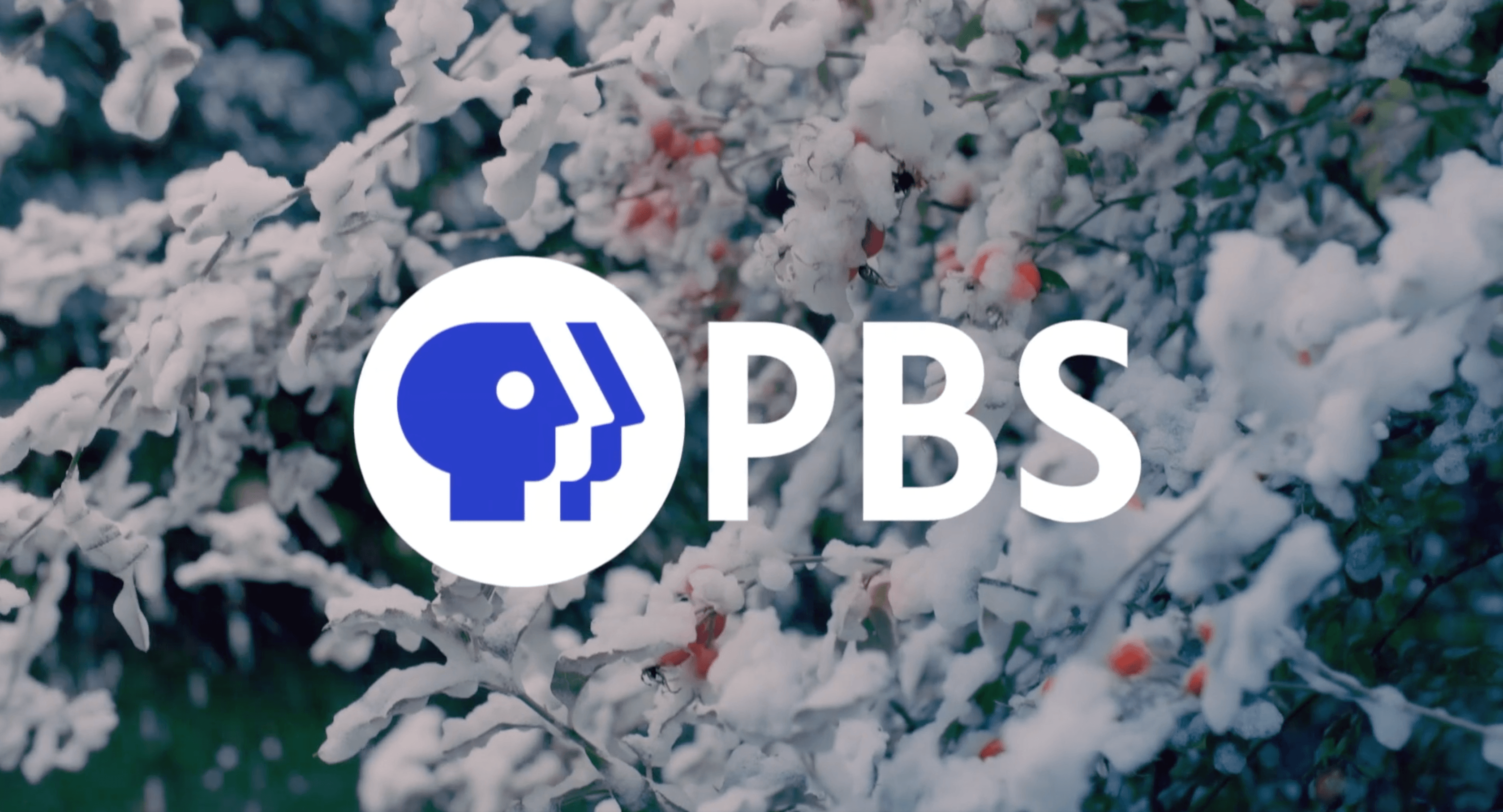 Here’s PBS’ Full Holiday Programming Schedule for December 2021