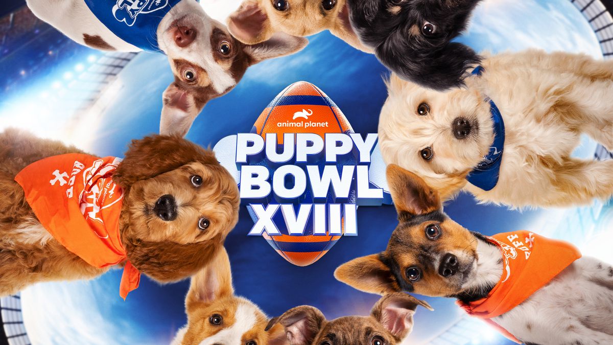 How to Watch the 2022 Puppy Bowl Without Cable on Sunday, February 13
