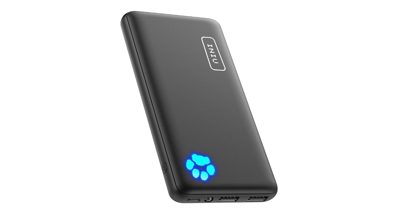 Image of the INIU battery pack.