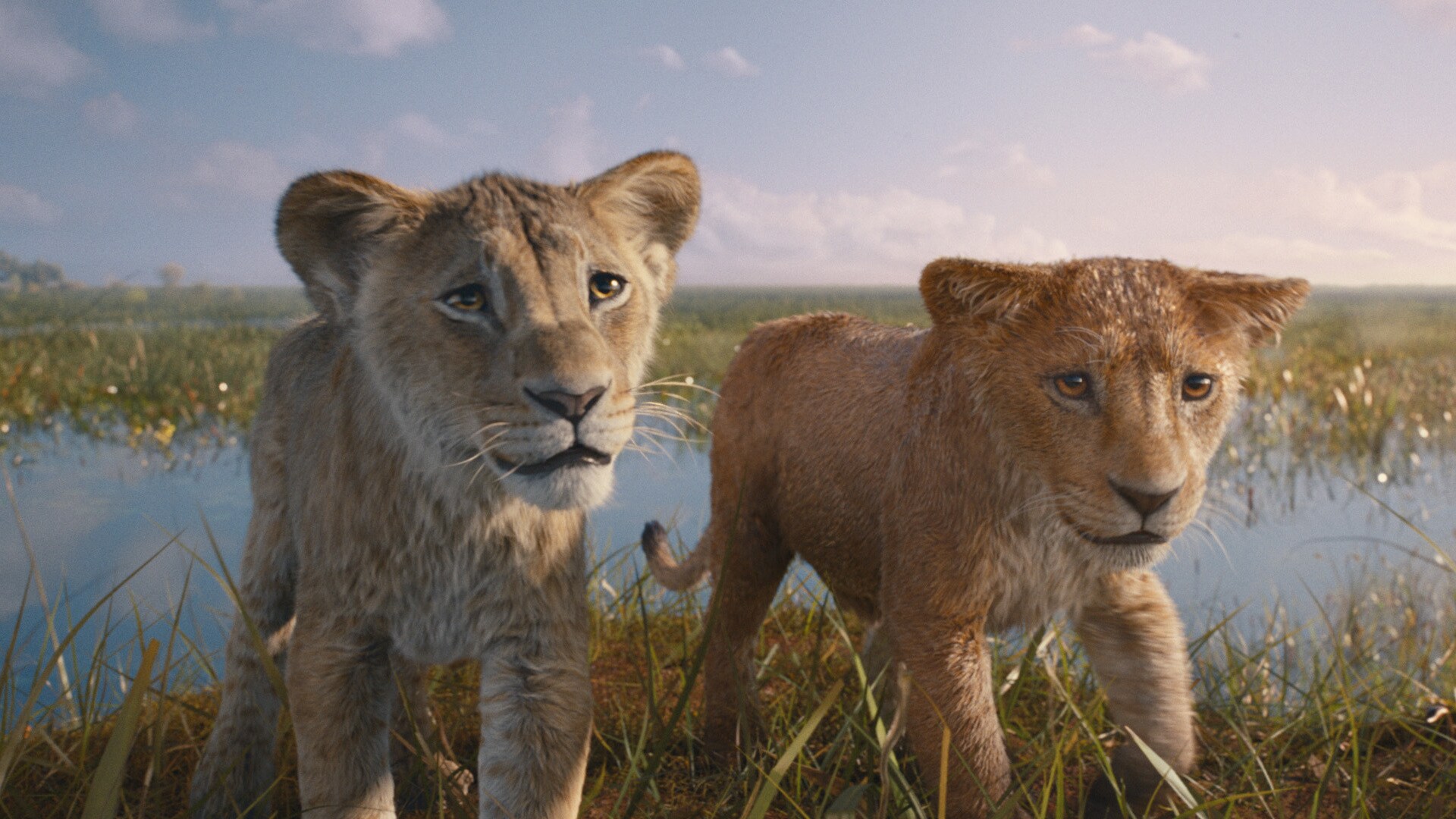 How to Watch Mufasa: The Lion King, at Home