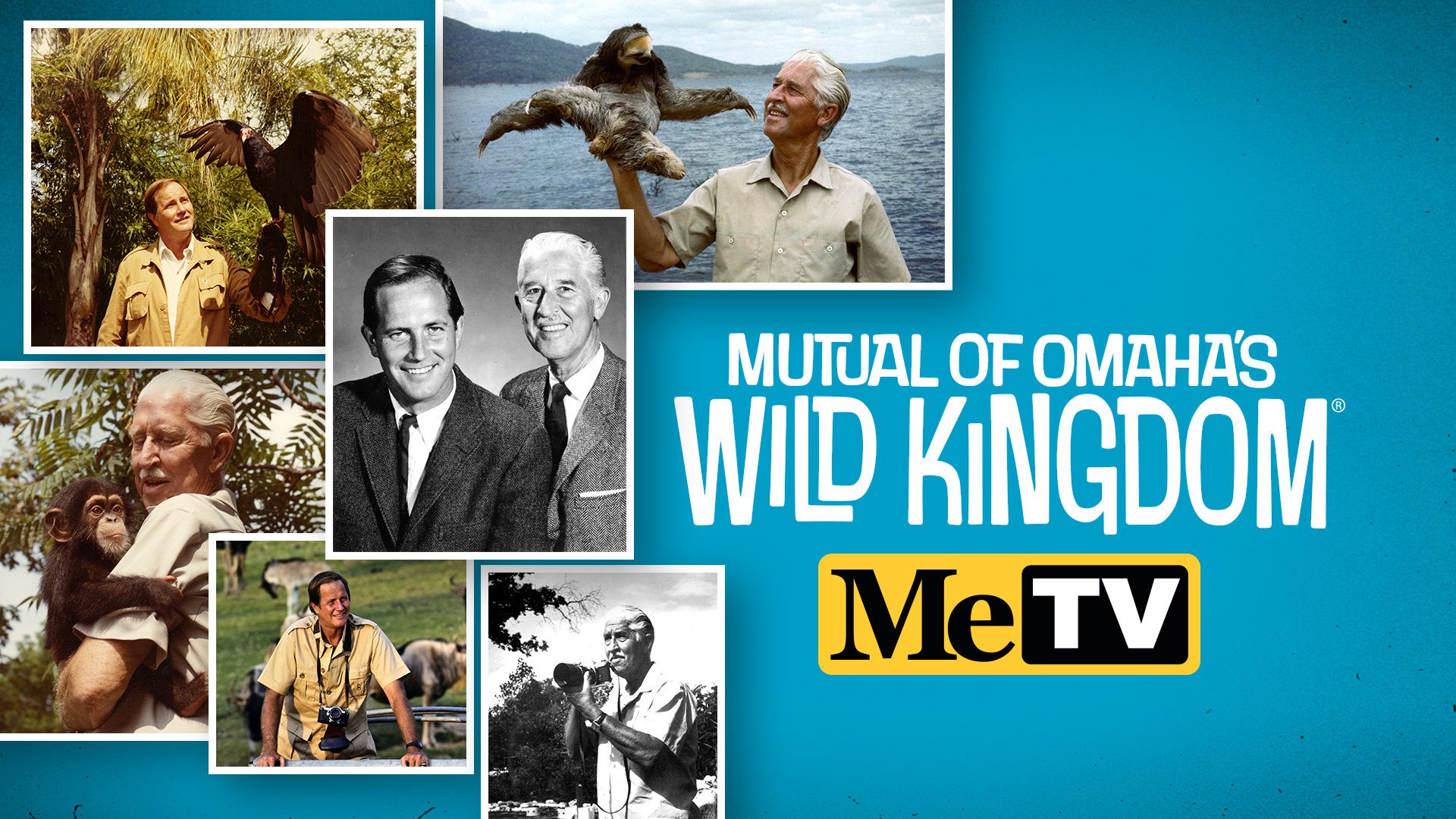 MeTV Adds Classic ‘Mutual of Omaha’s Wild Kingdom’ to Sunday Morning Lineup Starting July 6